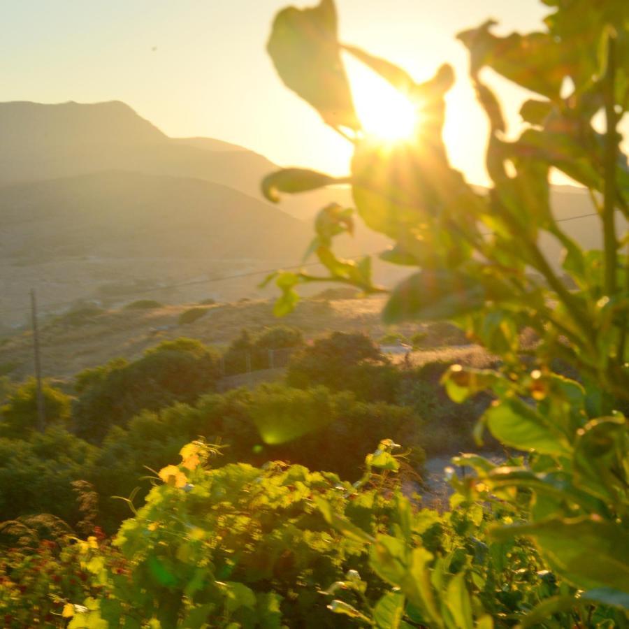 Sarantis Suites & Apartments Provatas Dış mekan fotoğraf